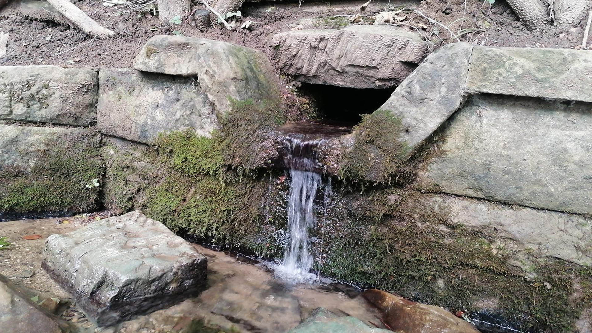 Sorgente