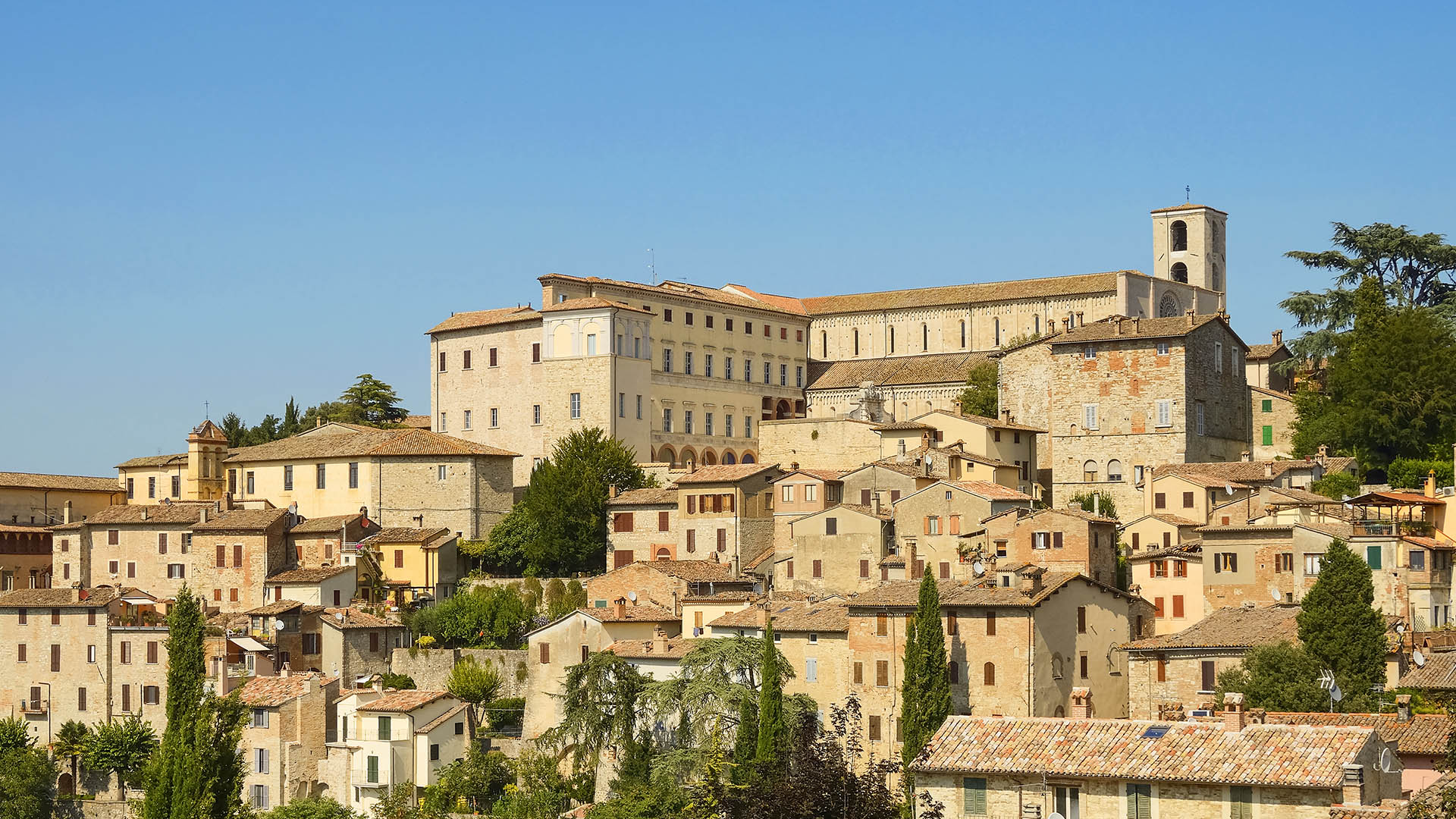 Todi