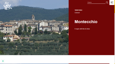 liveorvieto.com