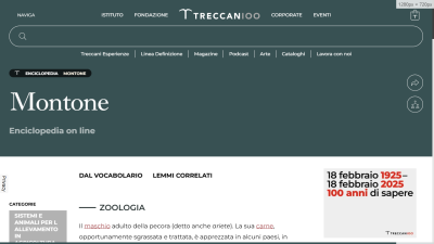 www.treccani.it