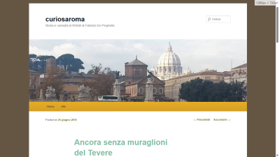 curiosaroma.wordpress.com