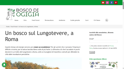 www.boscodiogigia.it