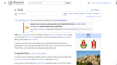 it.wikipedia.org