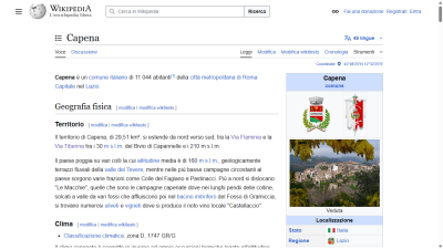 it.wikipedia.org