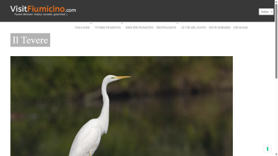 www.visitfiumicino.com